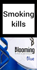 Blooming Blue Cigarettes pack